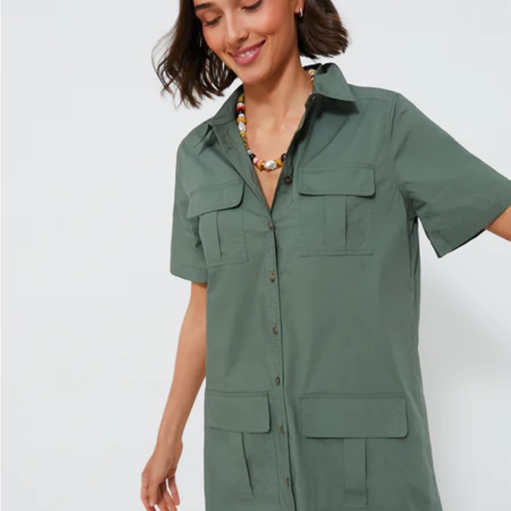 Tuckernuck Green Utility Dress